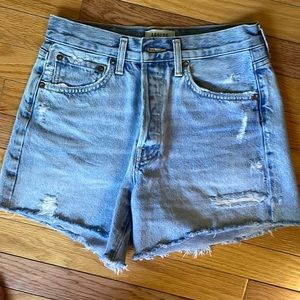 Agolde Parker Long 25